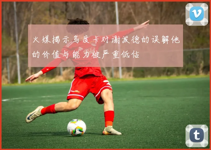火媒揭示乌度卡对谢泼德的误解他的价值与能力被严重低估