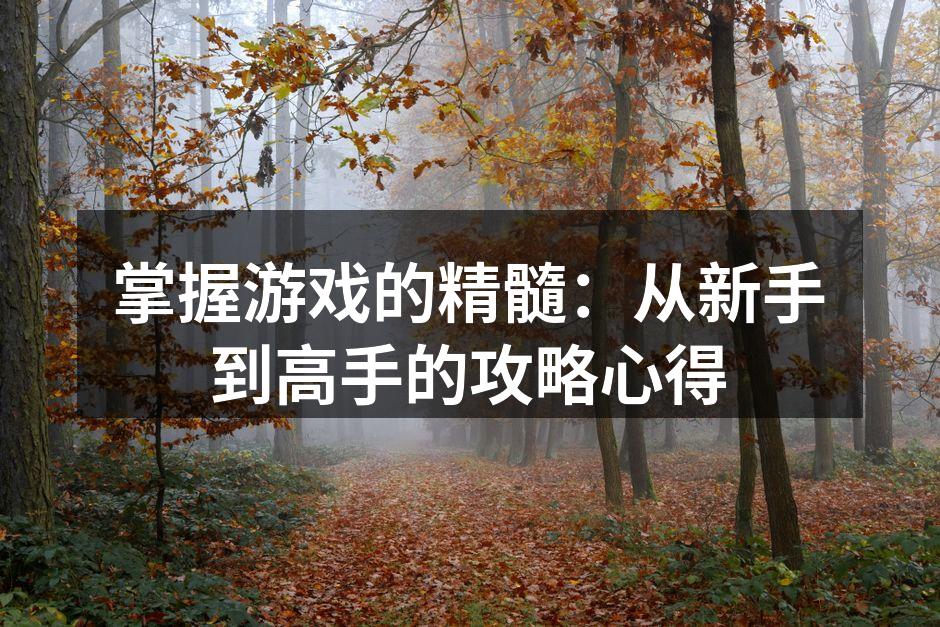 掌握游戏的精髓：从新手到高手的攻略心得