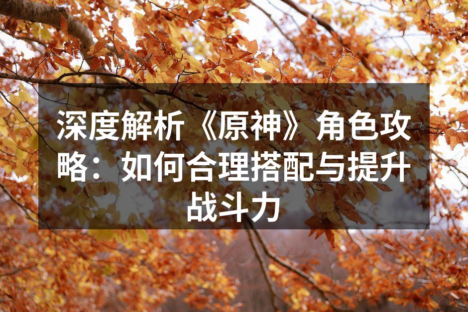 精彩的角色组合展示