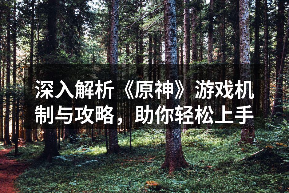 深入解析《原神》游戏机制与攻略，助你轻松上手